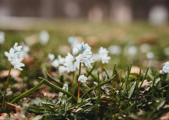 Ulmer Spatzennest Appartamento